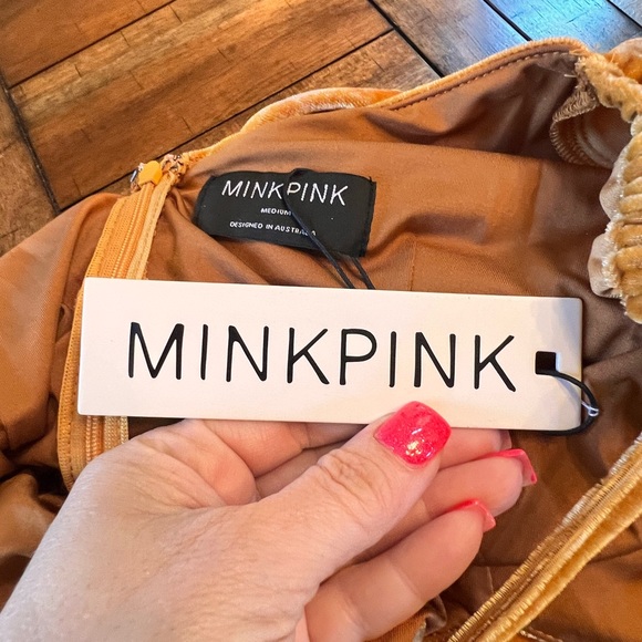 NWT MINKPINK Meknes Ruched mini VELVET DRESS - Picture 6 of 11